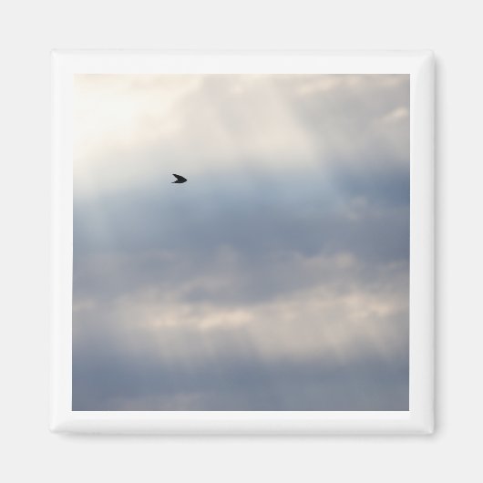 Aspiration de l'arbre 2x2 aimant (Devant)