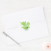 Asplenium Bird's nest fern - op wit tekenen. Ronde Sticker (Envelop)