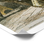 Assassering van 'Wild Bill' (W.B. Hickok) door Jac Poster (Hoek)