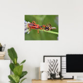 Assassin bug die een bij eet poster (Thuiskantoor)