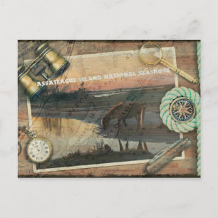 Assateague/Chincoteague-Briefkaart Briefkaart