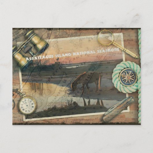 Assateague/Chincoteague-Briefkaart Briefkaart (Voorkant)