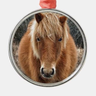 Assateague Horse Mieke's Noe'lani Portrait Metalen Ornament