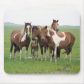 Assateague Horses Mousepad Muismat (Voorkant)