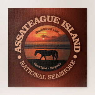 Assateague Island National Seashore Legpuzzel