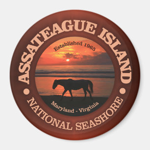 Assateague Island National Seashore Magneet