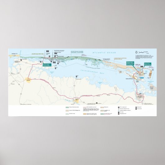 Assateague Island National Seashore Poster (Voorkant)