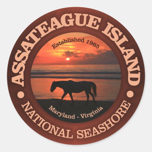 Assateague Island National Seashore Ronde Sticker (Voorkant)