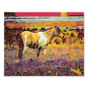 Assateague of Chincoteague pony's Foto Afdruk