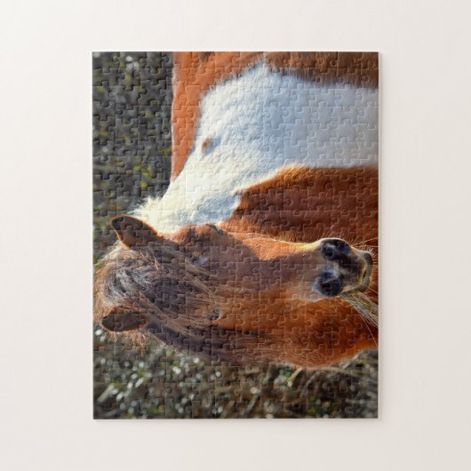 Assateague Pinto Mare Ms Macky Legpuzzel (Verticaal)