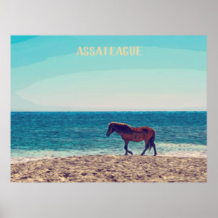 Assateague Wild Horse Beach Poster