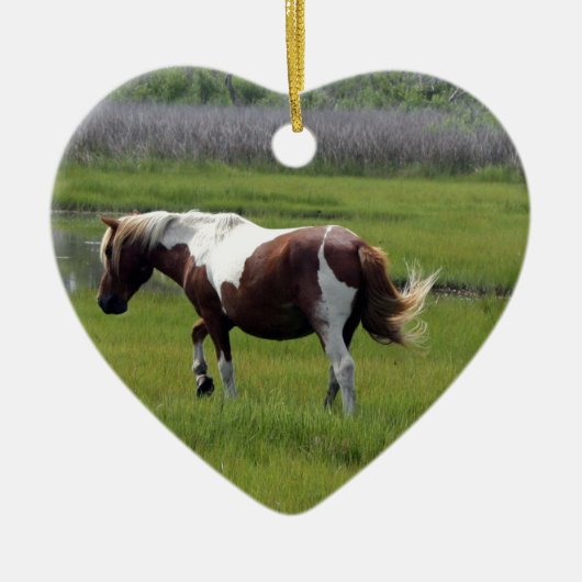 Assateague Wild Horse Keramisch Ornament (Voorkant)