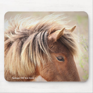 Assateague Wild Horse Muismat