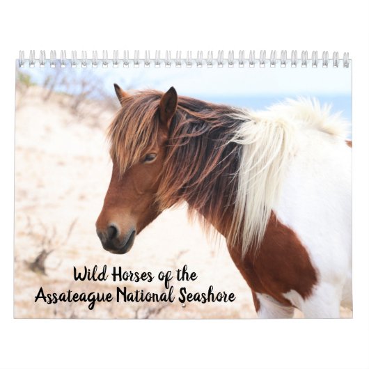 Assateague Wild Horses Calendar Kalender (Hoes)
