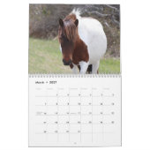 Assateague Wild Horses Calendar Kalender (Mar 2027)