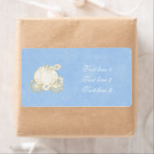 Assepoester Gouden Koets Prinses Blauw Label (Insitu)