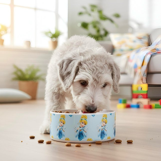 Assepoester kom (Creator heeft geüpload)