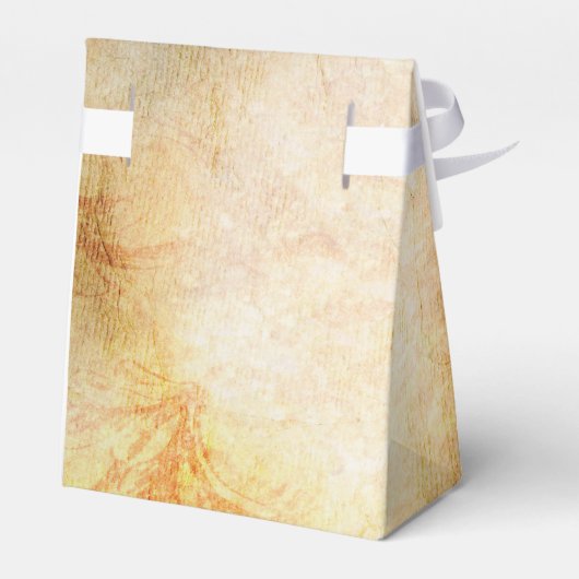 Assepoester Prinses Douche Party Favor Bag Bedankdoosjes (Achterkant)