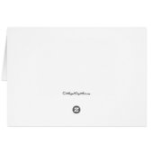 Assepoester sprookkunst (Achterkant Horizontaal)