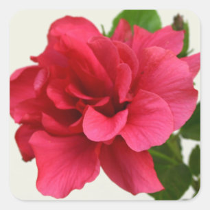 Assez dans le rose - autocollant