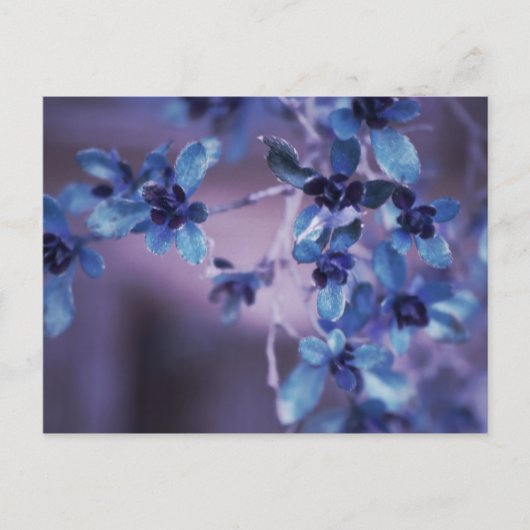 Assez en carte postale pourpre (Devant)