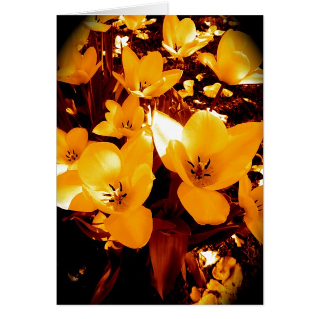 Assez en jaune (Devant)