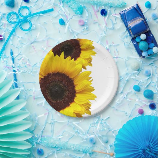 Assiette Anniversaire Fête Pique-Nique Papier Tour (Fête)