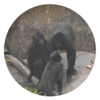 Assiette Articles de dîner d'Araignée-Singe