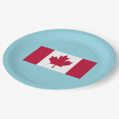 Assiette de fête de la fête du Canada (Angle)