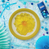 Assiette en carton (Fête)