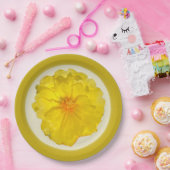 Assiette en carton (Fête)