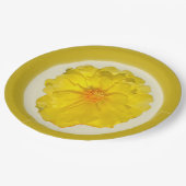 Assiette en carton (Angle)