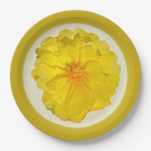 Assiette en carton (Devant)