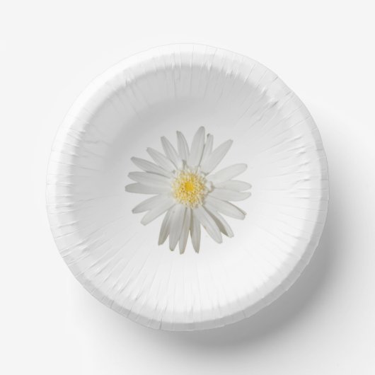 assiette en carton (Recto)