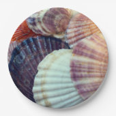 Assiette en papier coquilles (Devant)