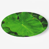 Assiette en papier de la nature (Angle)