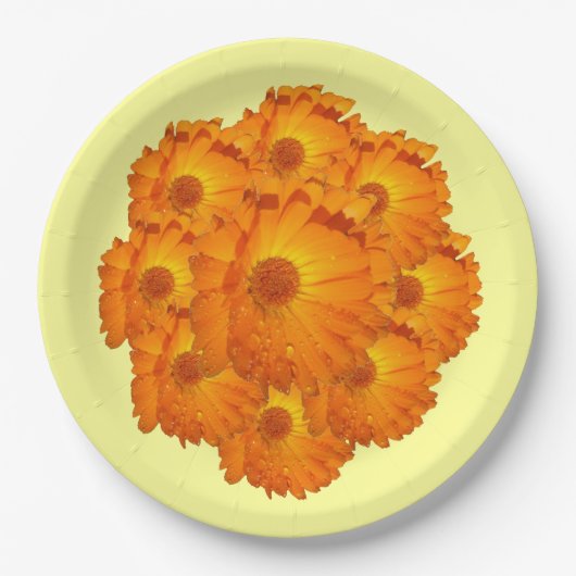 Assiette en papier - Fleurs de calendula (Devant)