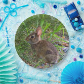 Assiette en papier Lapin Bébé (Fête)