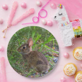 Assiette en papier Lapin Bébé (Fête)