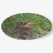 Assiette en papier Lapin Bébé (Angle)