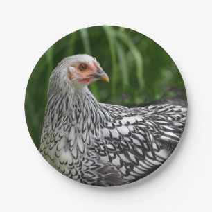 Assiette en papier Poule