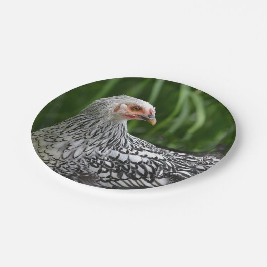 Assiette en papier Poule (Angle)