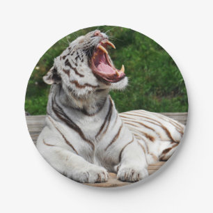 Assiette en papier tigre blanc du Bengale