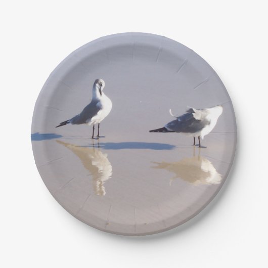 Assiette en papier Windy Seagull (Devant)