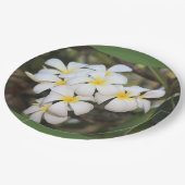 assiettes aux fleurs tropicales, plumeria (Angle)