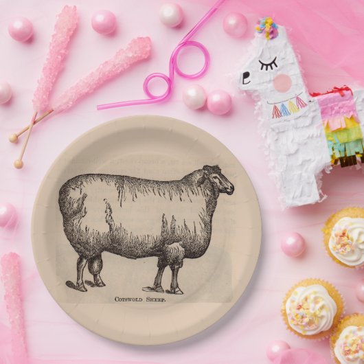 Assiettes En Carton 19e century print cotswold sheep (Fête)