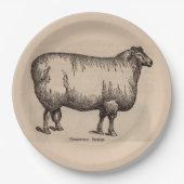 Assiettes En Carton 19e century print cotswold sheep (Devant)