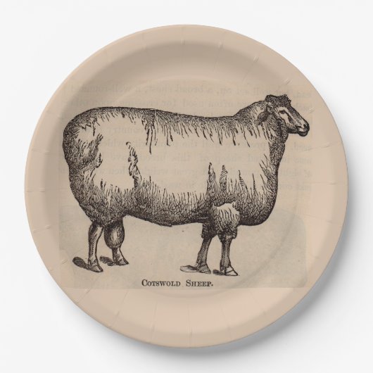 Assiettes En Carton 19e century print cotswold sheep (Devant)