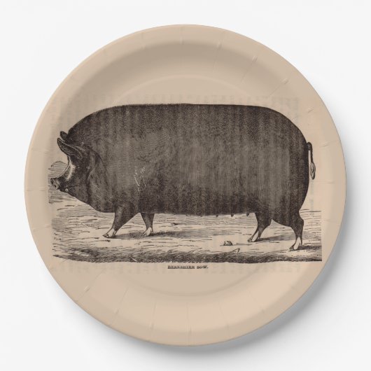 Assiettes En Carton 19th century farm animal print Berkshire sow no. 2 (Devant)