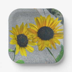 Assiettes En Carton 2 Tournesols mariages ou de pays mangent